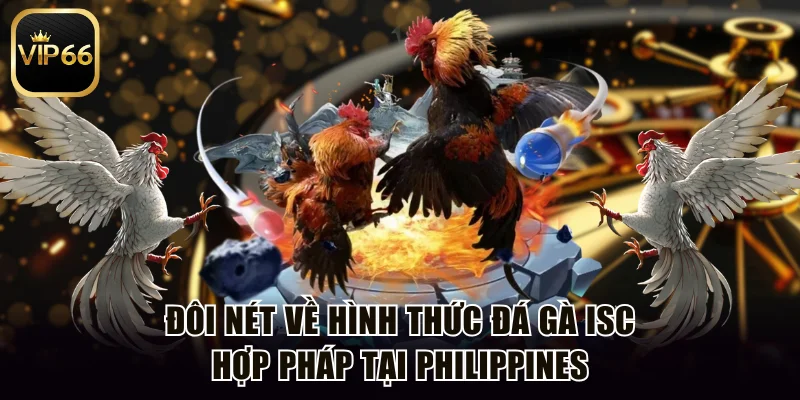 Đôi nét về hình thức đá gà ISC hợp pháp tại Philippines