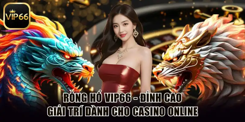 Rồng hổ Vip66